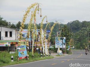 Ribuan Janur Kuning Hiasi Jalanan di Banjarnegara, Ada Apa?