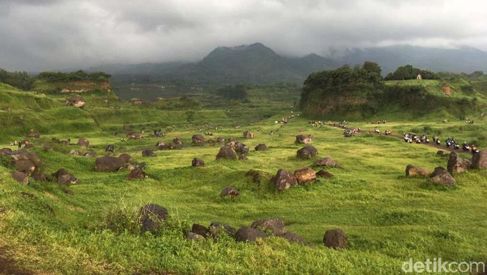 Keindahan padang rumput Ranu Manduro di Mojokerto sempat viral di Medsos. Yuk lihat keindahannya.