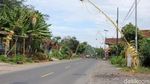 Ribuan Janur Kuning Hiasi Jalan di Banjarnegara