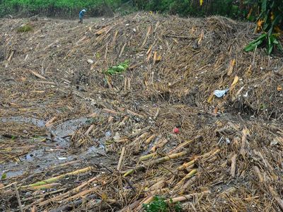 Gunungan Sampah Penuhi Bendungan Wilalung di Kudus