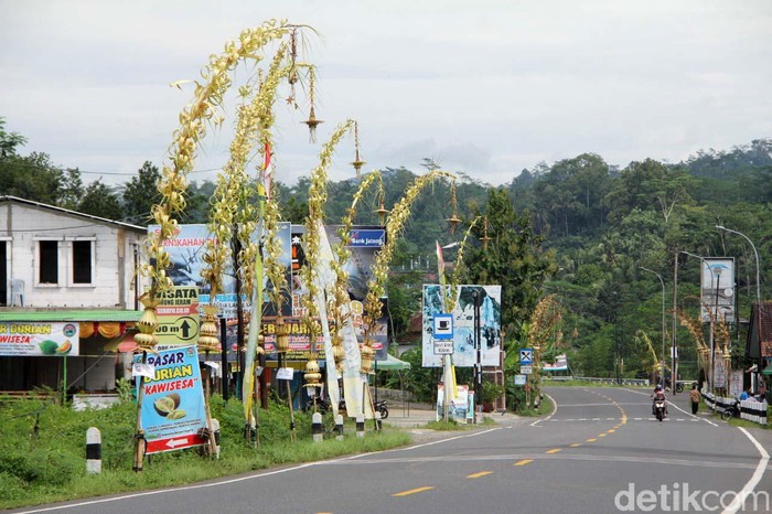 Ribuan janur kuning menghiasi jalan di Banjarnegara. Hal ini dimaksudkan sebagai penanda peringatan hari jadi Banjarnegara ke-449.