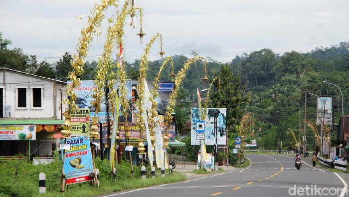 Ribuan janur kuning menghiasi jalan di Banjarnegara. Hal ini dimaksudkan sebagai penanda peringatan hari jadi Banjarnegara ke-449.