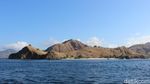 Pantai Pink Komodo yang Bikin Kangen