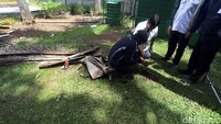 Tampak tim dari Komisi Pengarah mengambil sampel tanah dan ranting pohon yang ada di lokasi revitalisasi. Pengambilan sampel itu nantinya akan menjadi kajian untuk memastikan tidak terjadi perusakan dalam proses penebangan pohon di kawasan revitalisasi.