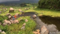 Salah seorang warga Ngoro, Ajeng, mengatakan padang rumput yang eksotis itu dulunya bekas tambang galian C. Dalam musim hujan tahun ini, lahan bekas tambang itu ditumbuhi rerumputan.