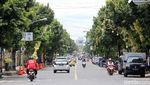 Ribuan Janur Kuning Hiasi Jalan di Banjarnegara