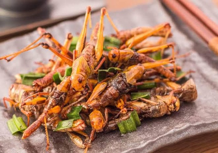 serangga goreng
