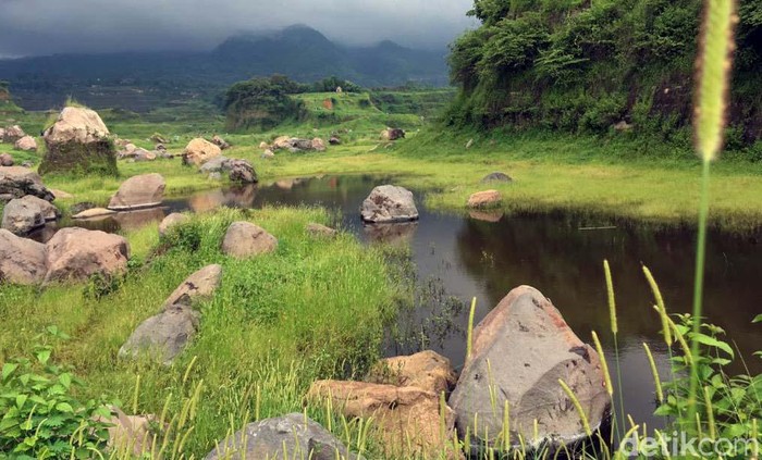 Sempat Viral, Begini Lho Keindahan Padang Rumput Ranu Manduro Keindahan padang rumput Ranu Manduro di Mojokerto sempat viral di Medsos. Yuk lihat keindahannya.