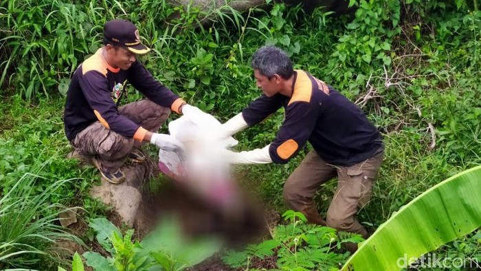 Temuan kerangka manusia di Hutan Pinus Wisnu, Pemalang