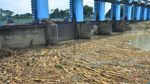 Gunungan Sampah Penuhi Bendungan Wilalung di Kudus