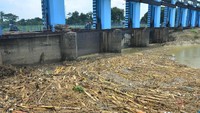 Kurangnya kesadaran masyarakat untuk membuang sampah pada tempatnya menyebabkan berbagai jenis sampah menumpuk di bendungan itu dan berpotensi menjadi penyebab terjadinya banjir.