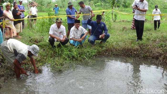 Warga Sumenep tengah dihebohkan adanya sawah mendidih. Air di sawah itu bergelembung layaknya sedang mendidih.