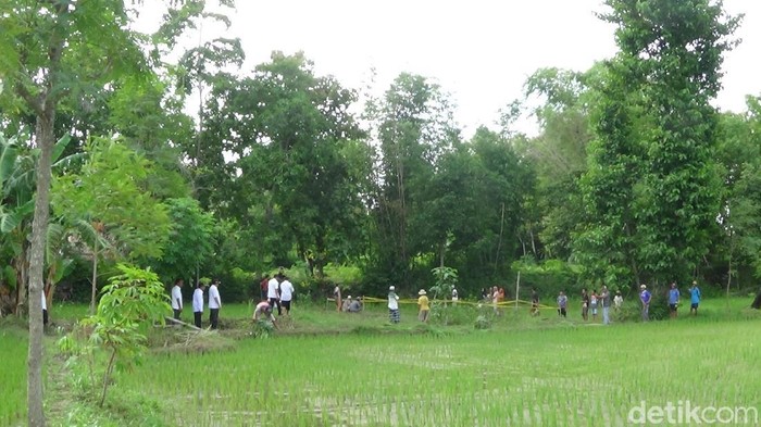 Warga Sumenep tengah dihebohkan adanya sawah mendidih. Air di sawah itu bergelembung layaknya sedang mendidih.