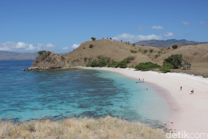 Pantai Pink di Taman Nasional Komodo