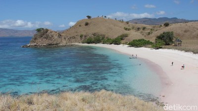 Pantai Pink Komodo yang Bikin Kangen