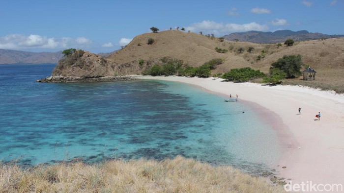 Pantai Pink di Taman Nasional Komodo