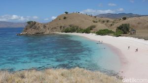 Pantai Pink Komodo yang Bikin Kangen