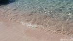 Pantai Pink Komodo yang Bikin Kangen