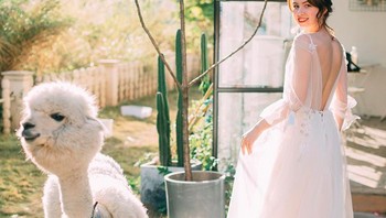 Ia tampaknya memang seorang penyayang binatang. Foto: Instagram