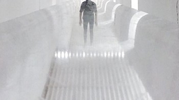 Mana yang asli bawah atau atas? Foto: Tiago Silva