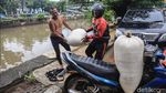 Berkah Banjir, Jumlah Cacing Sutra Melonjak