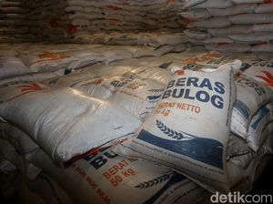 Anggota DPR Beberkan Masalah Pelik Bulog soal Penyaluran Beras