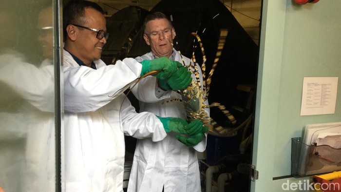 Menteri Kelautan dan Perikanan Edhy Prabowo di Tasmania, Australia.