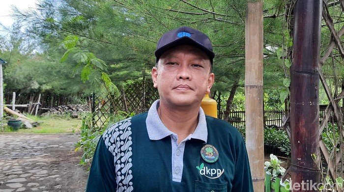 Keberadaan kunang-kunang di hutan mangrove Surabaya dinilai sebagai sesuatu yang langka. Terutama bagi warga jepang yang melakukan penelitian.