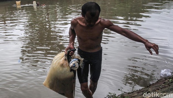 Berkah Banjir, Jumlah Cacing Sutra Melonjak