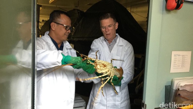 Menteri Kelautan dan Perikanan Edhy Prabowo di Tasmania Menteri Kelautan dan Perikanan Edhy Prabowo di Tasmania, Australia.
