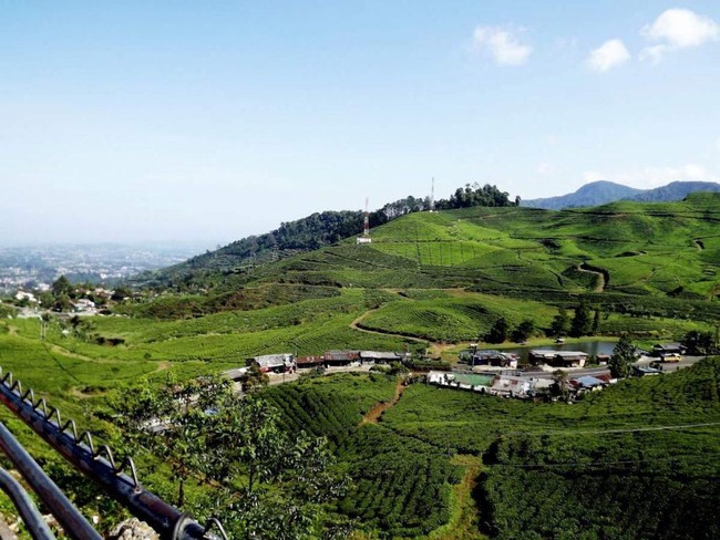 Banyak Kenangan Tertinggal di Restoran Rindu Alam Puncak