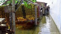 Dari catatan BPBD Kota Pekalongan, saat ini jumlah pengungsi sebanyak 996 warga dari sebelumnya berjumlah 1.265 jiwa. Data pengungsian ini, masih terus di-update petugas BPBD Kota Pekalongan.
