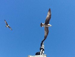 Tanpa Photoshop, Foto Ilusi Optik Ini Bikin Takjub