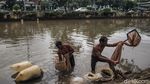 Berkah Banjir, Jumlah Cacing Sutra Melonjak