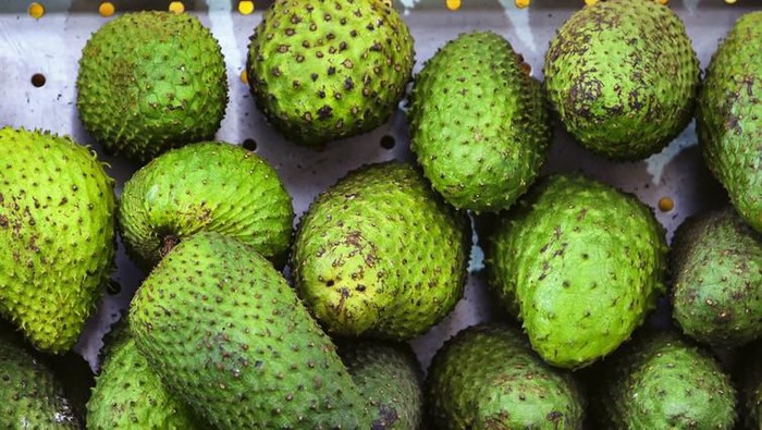 Fresh harvest soursop fruit with leaves. Fresh harvest soursop fruit with leaves.