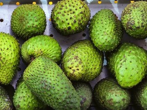 9 Manfaat Buah Sirsak untuk Kesehatan Beserta Cara Mengolah dan Efek Sampingya