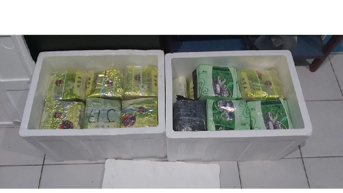 Barang bukti sabu 35 kg yang disita Polda Aceh. (Dok. Polda Aceh)