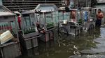 Nestapa Warga Teluk Gong yang Masih Dikepung Banjir