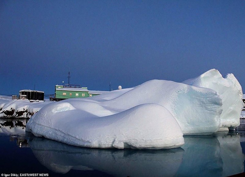Salju Merah Antartika