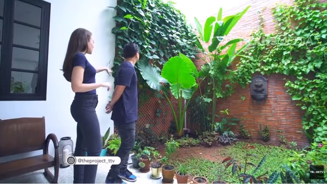 Meskipun rumahnya tidak terlalu besar, Rianti Cartwright mengusahakan agar bisa memiliki taman meskipun kecil. Taman belakang rumahnya ditumbuhi tanaman rambat, rerumputan dan tanaman pot. Penting banget buat aku ada taman. Aku juga sering lihat townhouse di New York atau London di belakangnya semua punya taman kecil. Kita pakai tanaman rambat yang bikin suasana adem, ujar mantan VJ MTV ini. Foto: Screenshot YouTube/ The Project Trans TV
