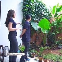 Meskipun rumahnya tidak terlalu besar, Rianti Cartwright mengusahakan agar bisa memiliki taman meskipun kecil. Taman belakang rumahnya ditumbuhi tanaman rambat, rerumputan dan tanaman pot. Penting banget buat aku ada taman. Aku juga sering lihat townhouse di New York atau London di belakangnya semua punya taman kecil. Kita pakai tanaman rambat yang bikin suasana adem, ujar mantan VJ MTV ini. Foto: Screenshot YouTube/ The Project Trans TV