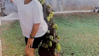  Di depan pohon belimbing yang berbuah lebat, Nces Nabati malah pose layaknya model. Mudah-mudahan belimbingnya nggak rontok ya. Foto: instagram @ncess_nabati