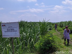 KPK Sita 4 Sawah Terkait Kasus TPPU Mantan Bupati Mojokerto