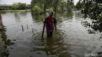 Ketinggian banjir di hari kelima tersebut masih sekitar 50 cm.