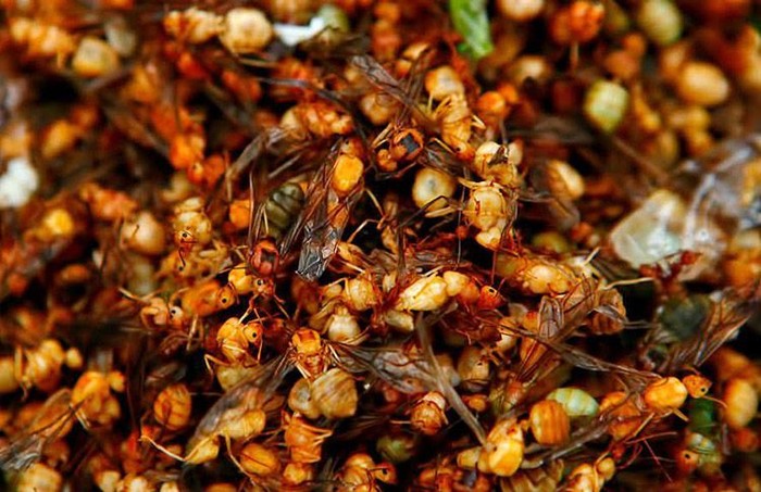 Makanan Terburuk di Asia