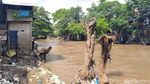 Pak Anies, Proyek Antibanjir di Ciliwung Kapan Lanjut Lagi?