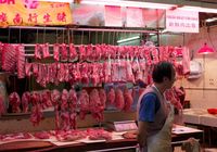 China Akan Terapkan Denda Rp 100 Juta, Bagi yang Makan Hewan Liar