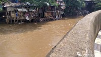 Bambang mengatakan masih butuh 17 km lahan bantaran Ciliwung yang mesti dibebaskan.