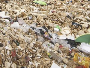 Duh! 60 Kg Sampah Diangkut dari Air Terjun Moramo di Sultra