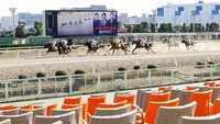 Pertandingan balap kuda di kawasan Tokyo, Jepang, yang berlangsung pada Kamis (27/2) kemarin juga tanpa kehadiran penonton. Warga memilih tinggal di rumah guna mencegah terinfeksi virus corona.Yuta Omori/Kyodo News via AP.